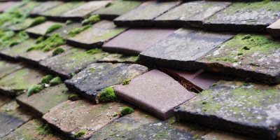 Teversal roof repair costs